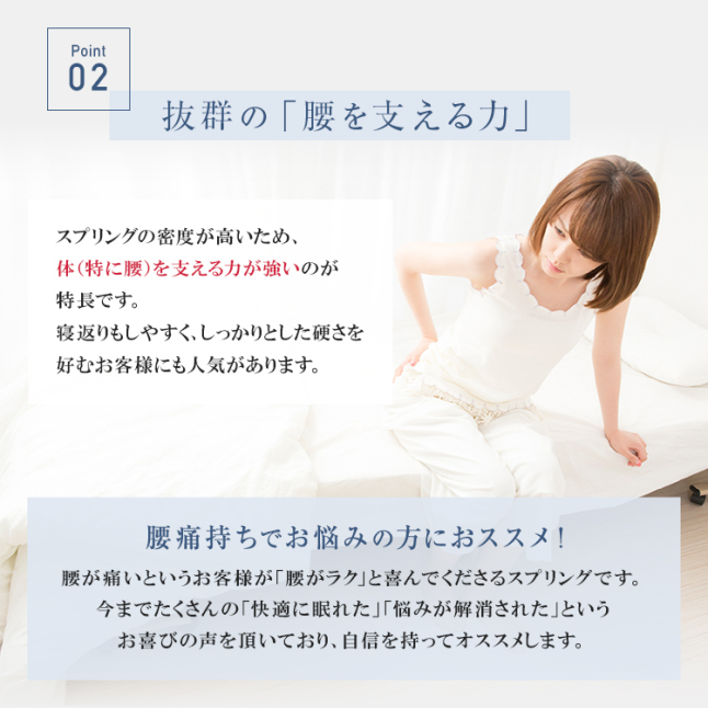 フランスベッド（FRANCEBED） 正規品 電動ベッド用 マットレス