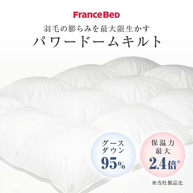 正規品 フランスベッド 羽毛布団 ダブル CS-04 AS オールシーズン タイプ | 羽毛ふとん 高級羽毛布団 二枚合わせ 日本製 国産 パワードーム_4