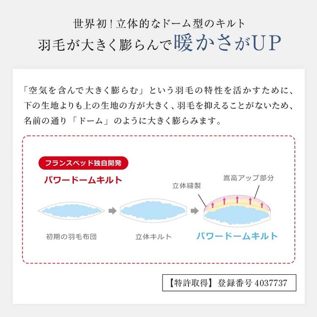正規品 フランスベッド 羽毛布団 ダブル CS-04 AS オールシーズン タイプ | 羽毛ふとん 高級羽毛布団 二枚合わせ 日本製 国産 パワードーム_5