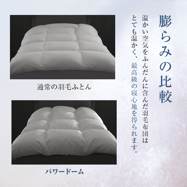 正規品 フランスベッド 羽毛布団 ダブル CS-04 AS オールシーズン タイプ | 羽毛ふとん 高級羽毛布団 二枚合わせ 日本製 国産 パワードーム_7