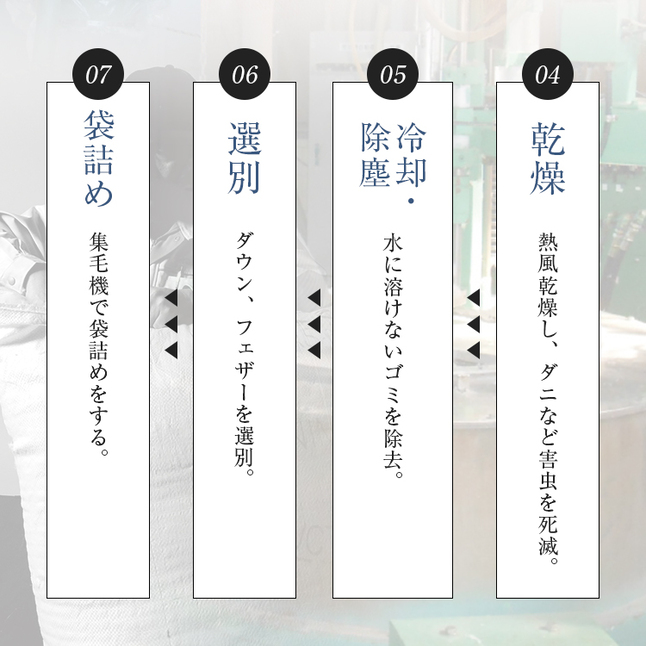 フランスベッド（FRANCEBED） 正規品 羽毛布団 クイーン CS-03 AS 合い