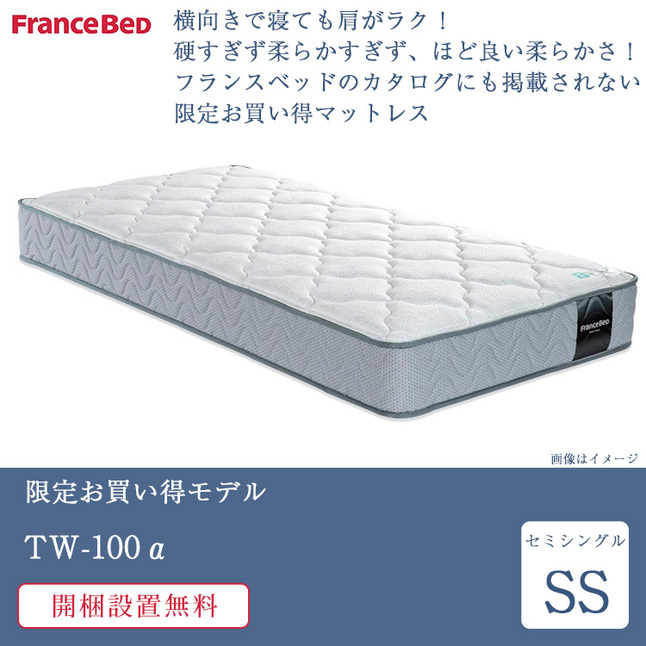 フランスベッド（FRANCEBED） 正規品 マットレス セミシングル TW-100α