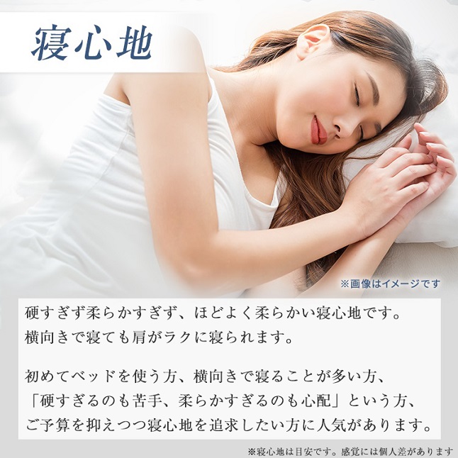 正規品 セット特価 フランスベッド ベッド シングル PR70-06C 引き出し付き ・TW-100α | 70周年 DR マットレス付き pr7006c tw100aの画像