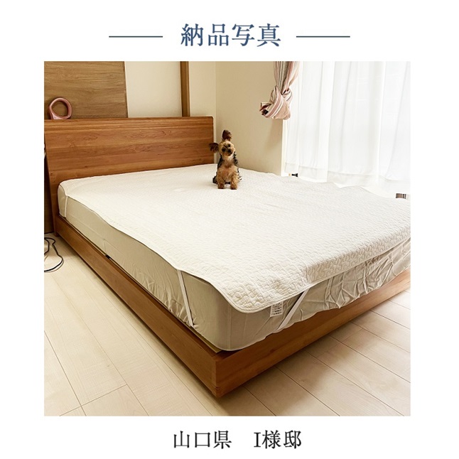 フランスベッド（FRANCEBED） 正規品 ベッドフレーム シングル PR70