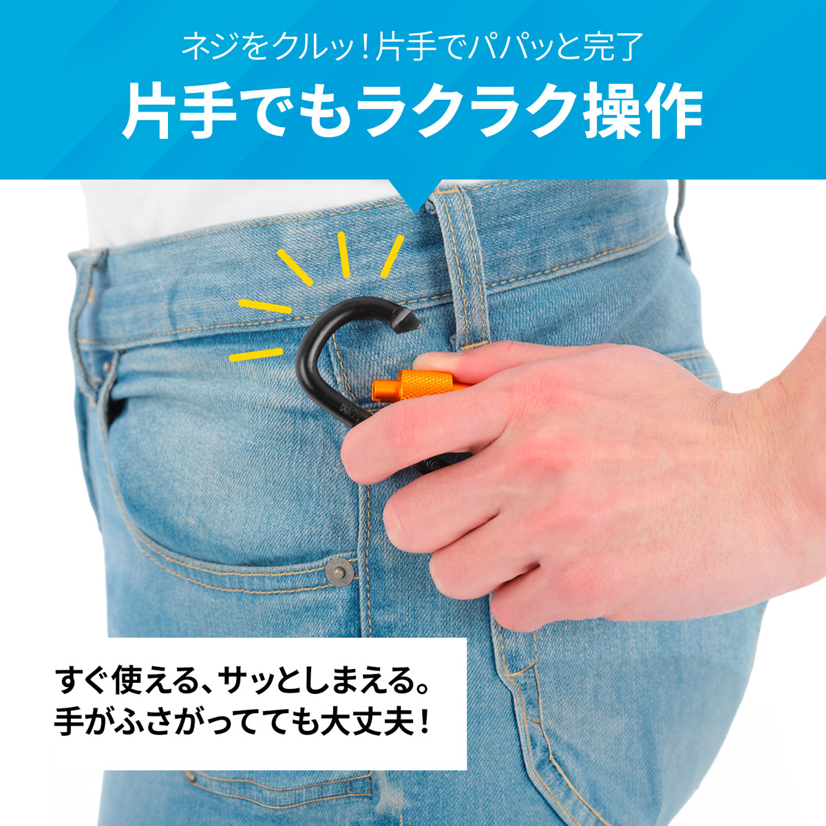 カラビナ セット 5本セット D型 ロック 式 キーホルダー ペットボトル