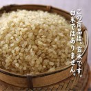 玄米(調整済)