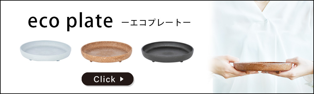 皿