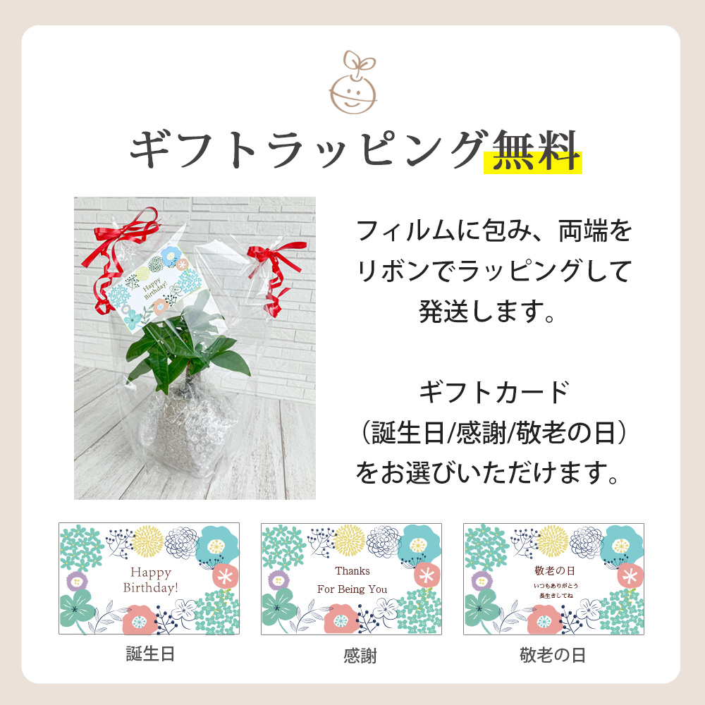 ラッピング