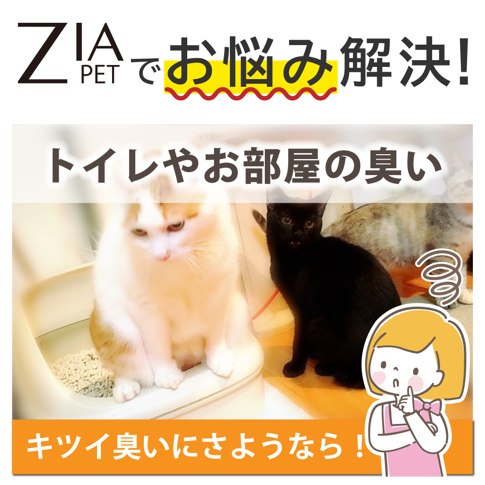 除菌スプレー 3本セット 次亜塩素酸水 200ppm 500mL スプレー ZIA PET(ジアペット) 非電解 次亜塩素酸 除菌 消臭 犬 猫 ペット スプレー除菌 弱酸性 日本製 |  | 02