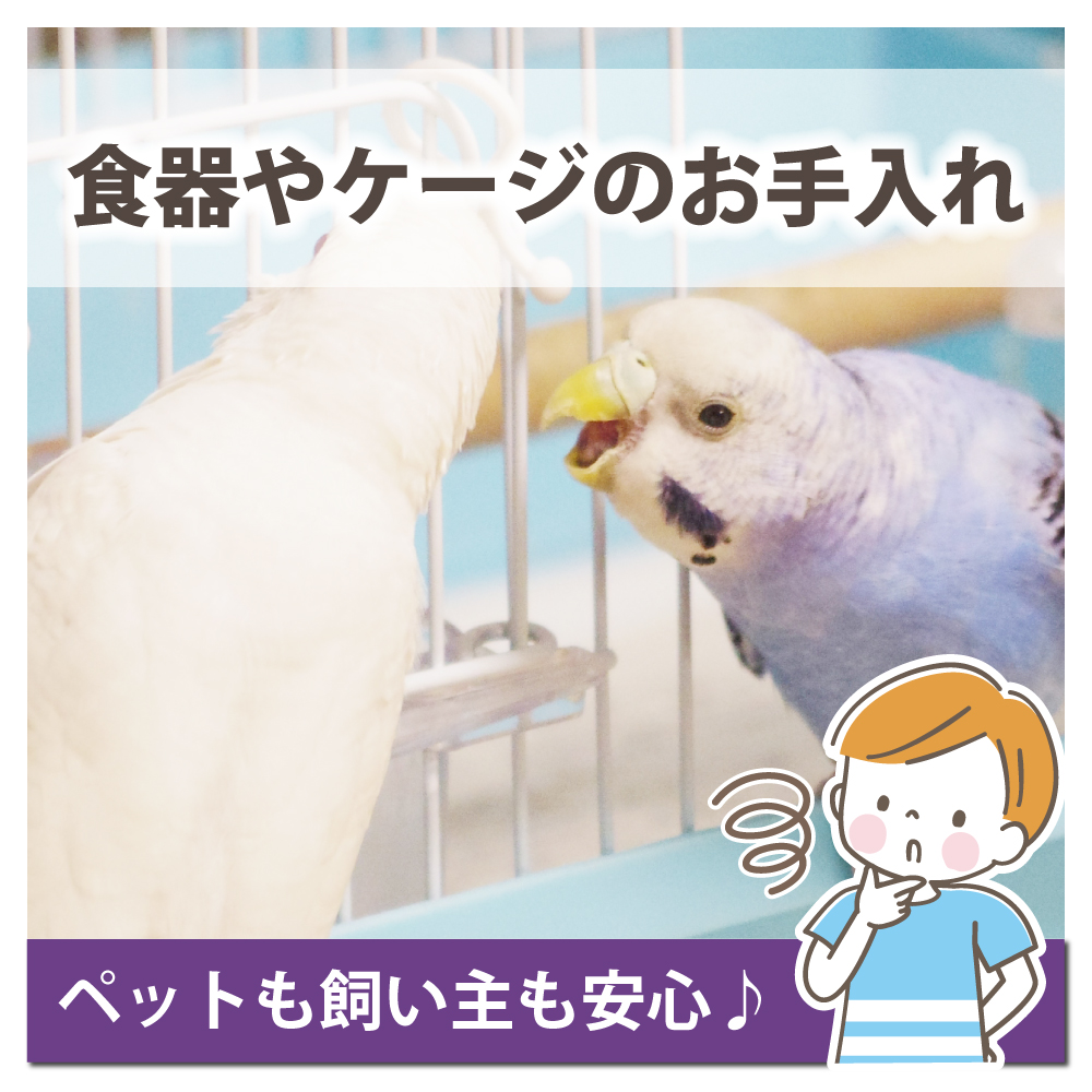 除菌スプレー 3本セット 次亜塩素酸水 200ppm 500mL スプレー ZIA PET(ジアペット) 非電解 次亜塩素酸 除菌 消臭 犬 猫 ペット スプレー除菌 弱酸性 日本製 |  | 03