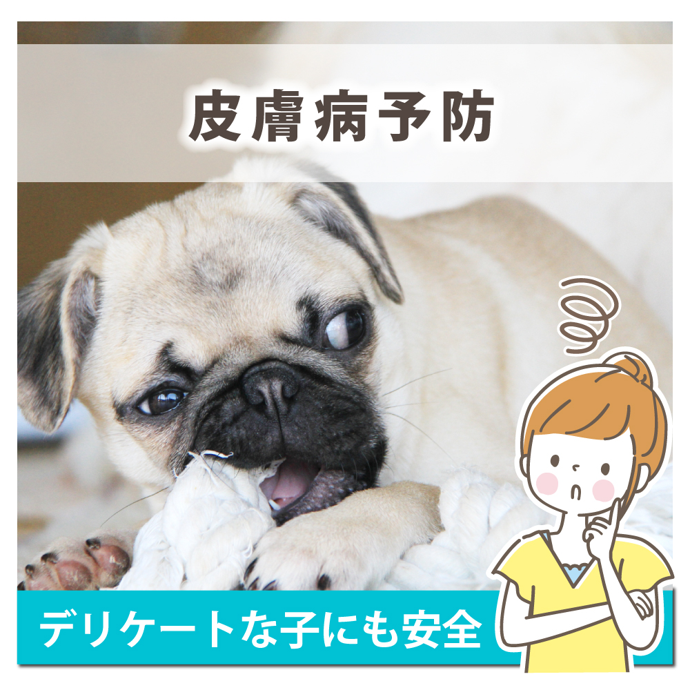 除菌スプレー 3本セット 次亜塩素酸水 200ppm 500mL スプレー ZIA PET(ジアペット) 非電解 次亜塩素酸 除菌 消臭 犬 猫 ペット スプレー除菌 弱酸性 日本製 |  | 05