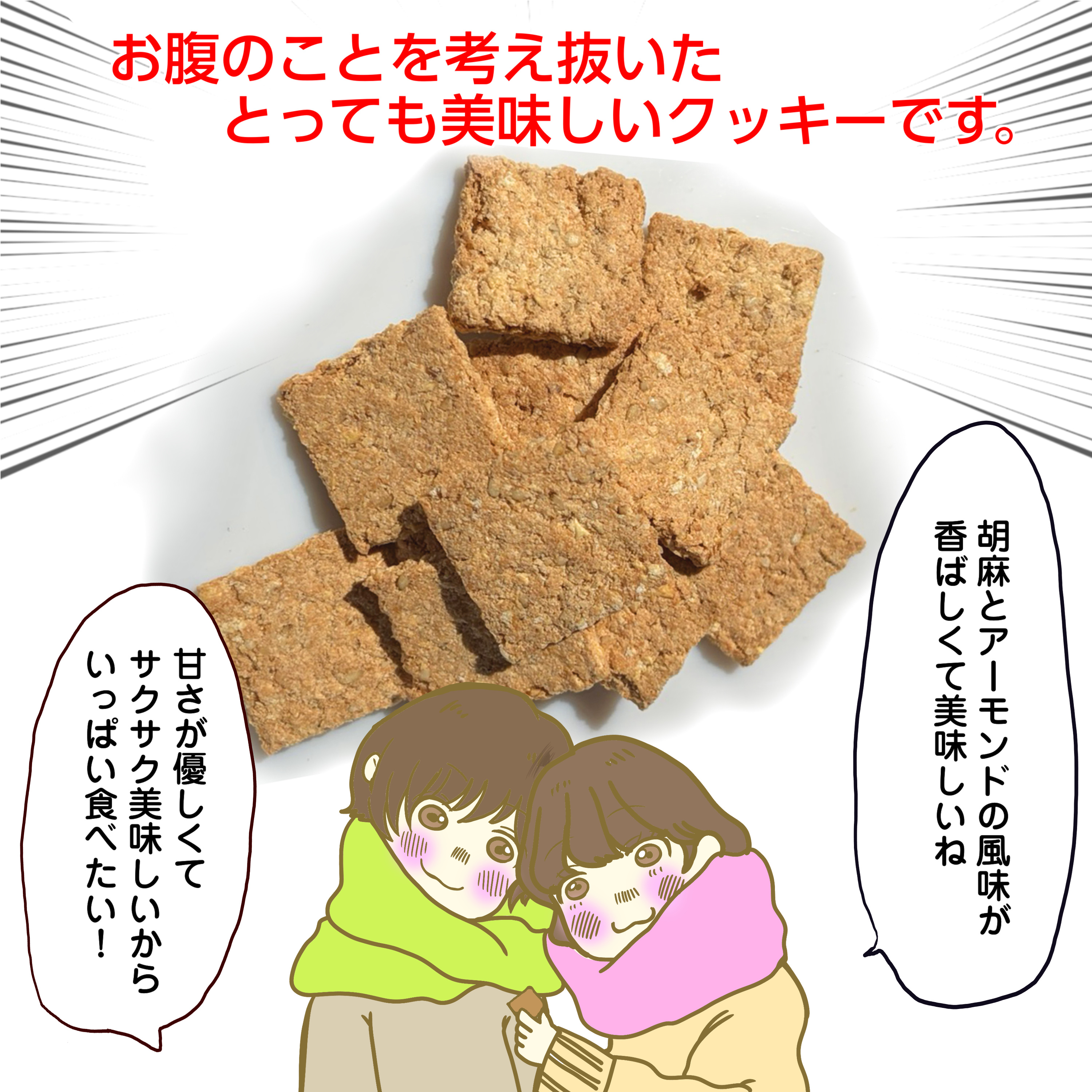 新発売おから100％おからクッキーノンオイル低糖質 もこもこふくらむ
