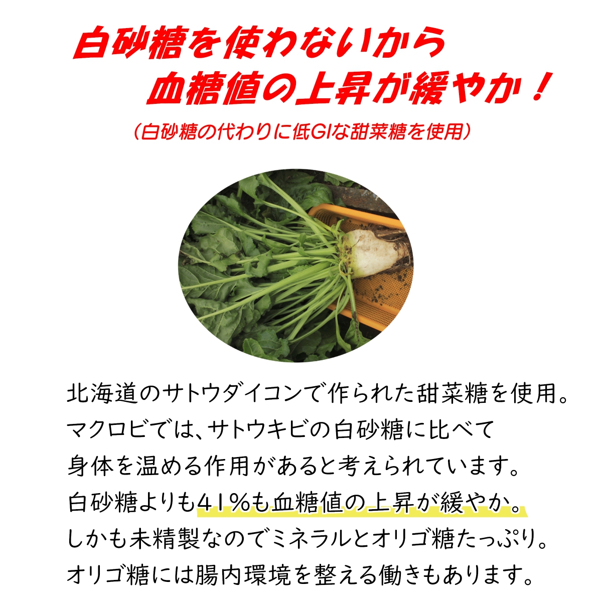 訳ありおからクッキー ノンオイル白砂糖不使用【ごぼうの揚げない低糖質おからかりんとう】美味しくリニューアル！240g無添加 全国送料無料 :  karigigg : こんなおやつが欲しかった! - 通販 - Yahoo!ショッピング