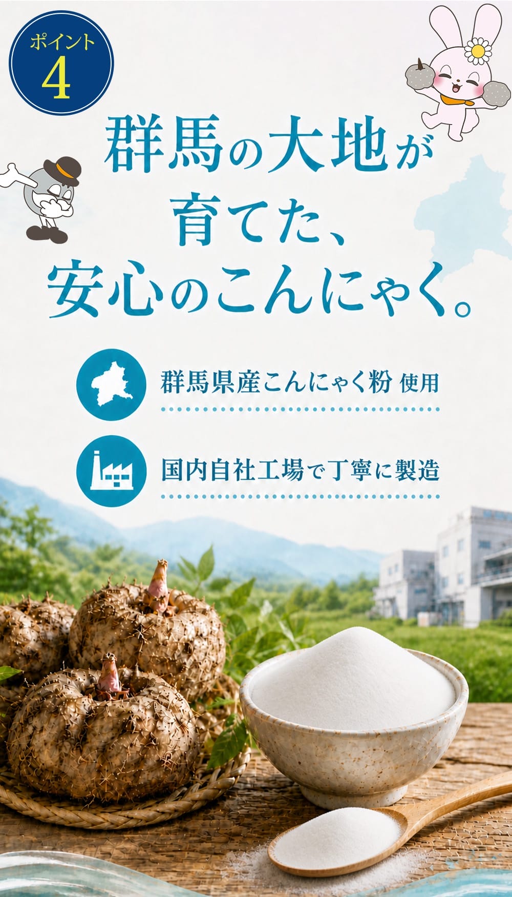 こんにゃくパーク こんにゃく麺 冷やし中華食品 月のうさぎ 冷し中華