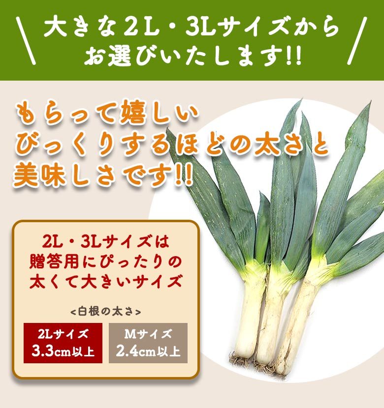 市場 青ネギ8kg 業務用 長ねぎ 徳島県産 ネギ