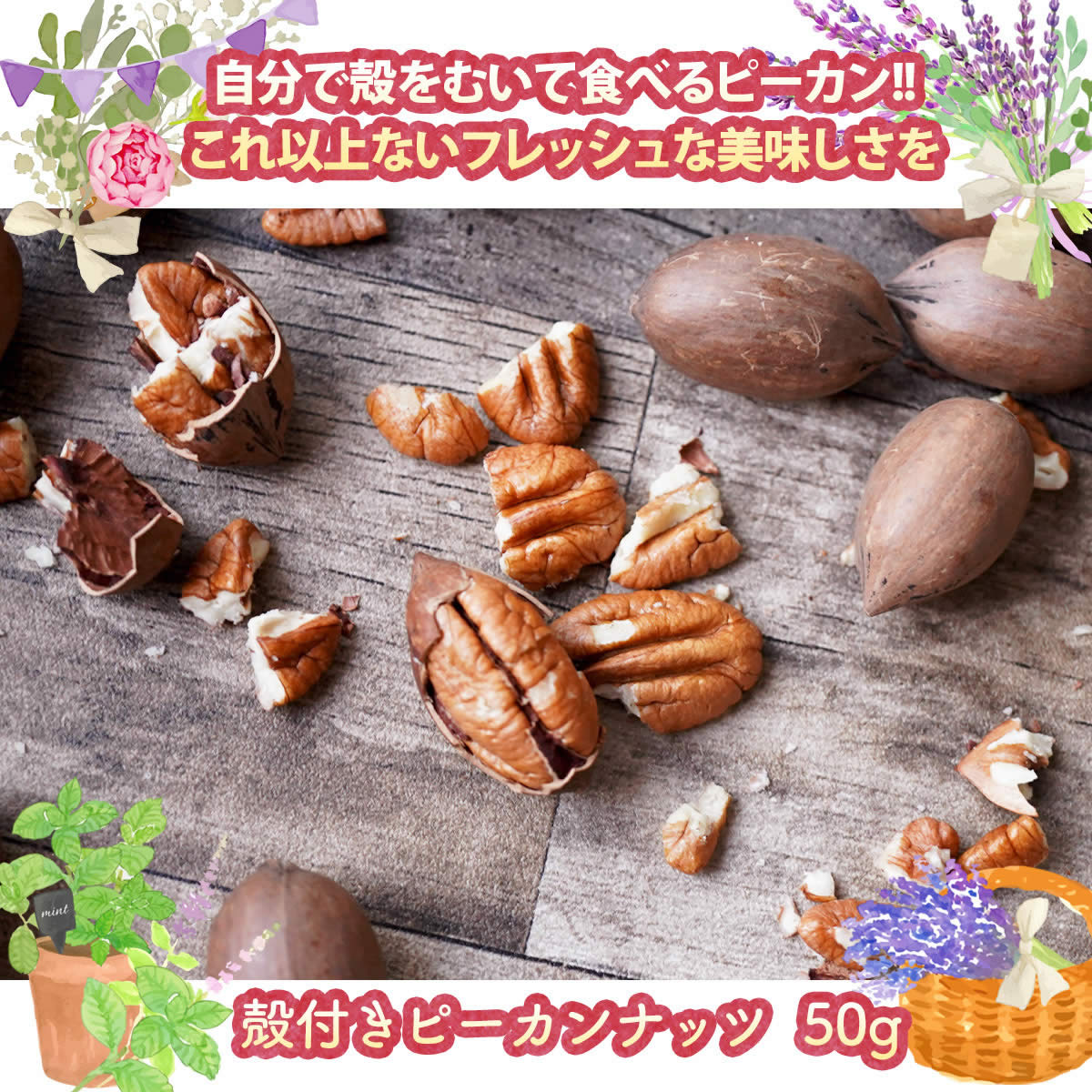 ナッツクリエイトこのみみ クーポン使用で3,750円OFF！7,730円→3,980