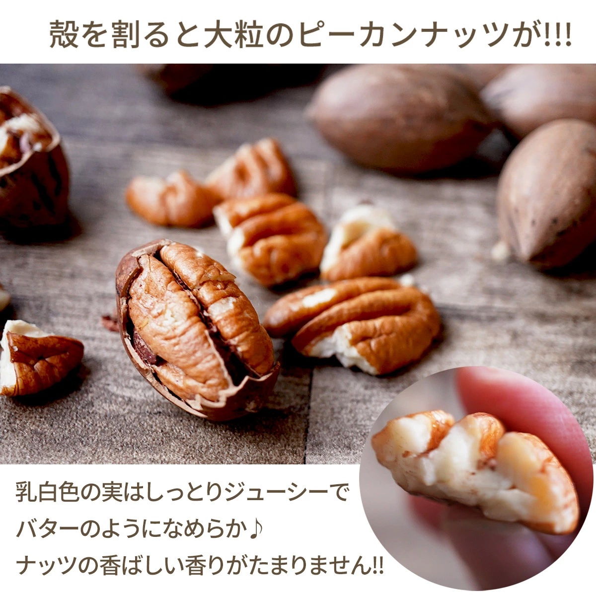 ナッツクリエイトこのみみ クーポン使用で3,750円OFF！7,730円→3,980
