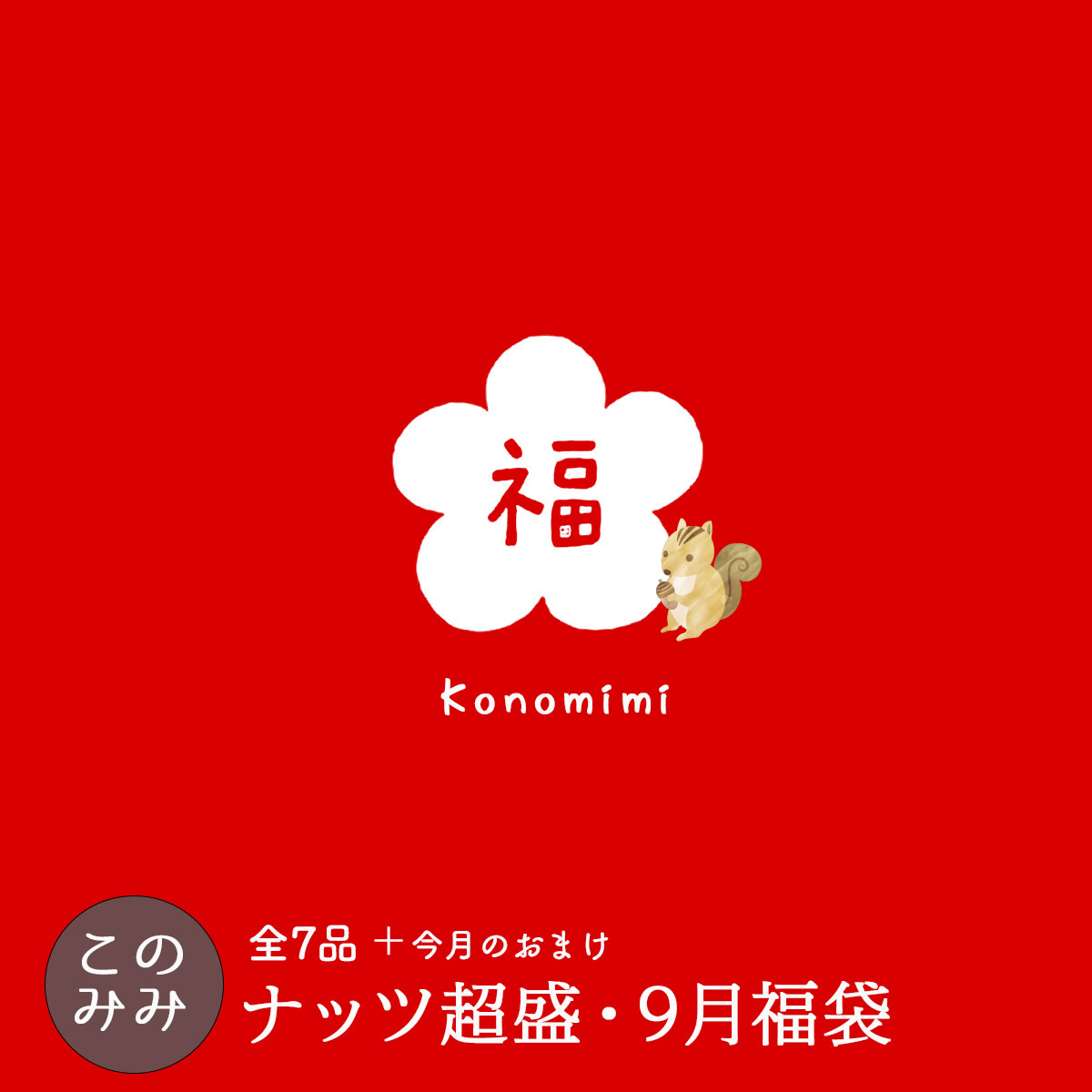 ナッツクリエイトこのみみ クーポン使用で4,050円OFF！8,030円→3,980