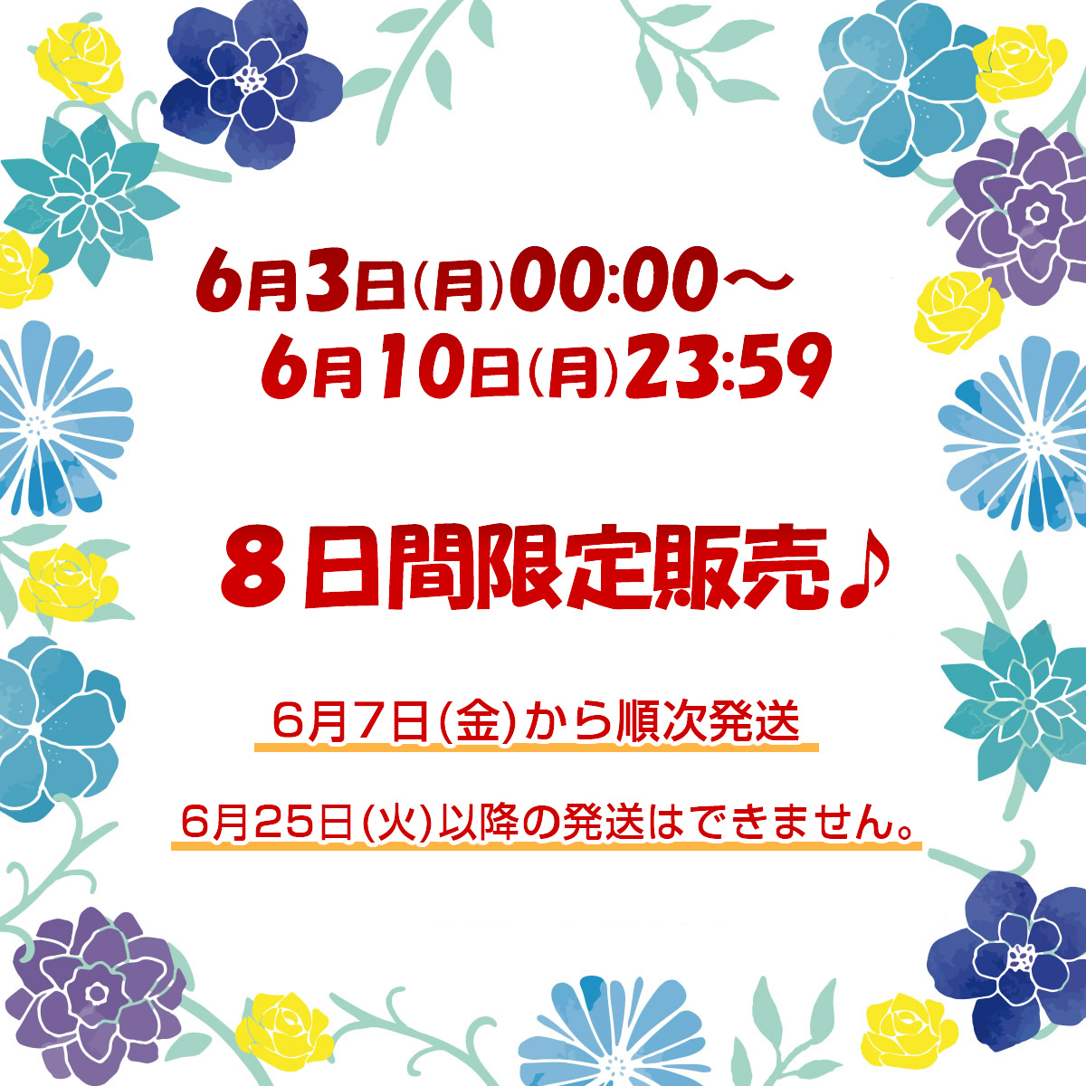 ナッツ 父の日 福袋 2024 クーポン使用で4,410円OFF 8,390円→3,980円 このみみ6月の福袋 贈り物 ギフト プレゼント お菓子 詰め合わせ｜konomimi｜15