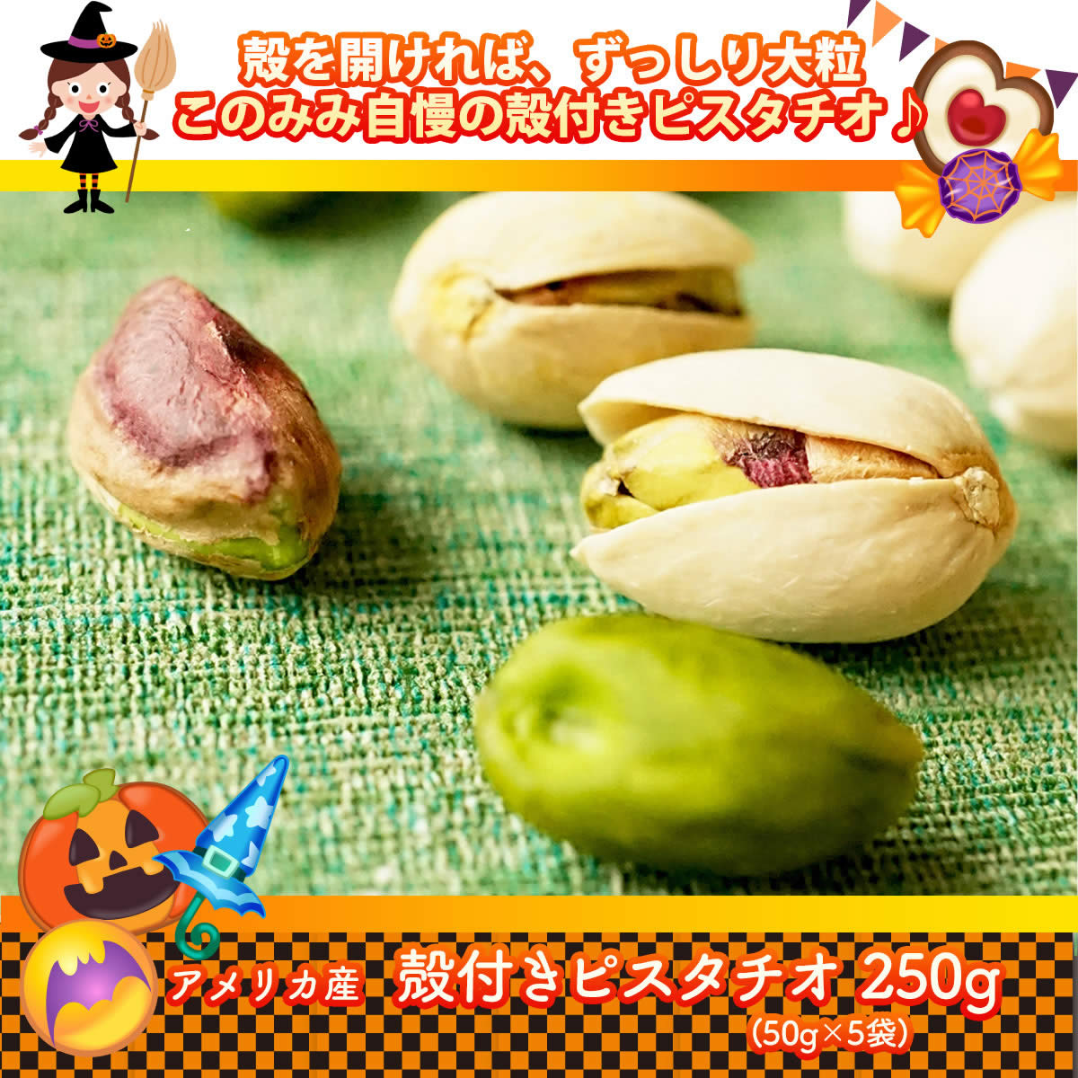 ナッツクリエイトこのみみ クーポン使用で4,110円OFF！9,090円→4,980