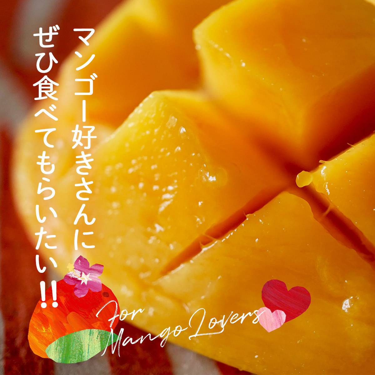 ナッツクリエイトこのみみ ドライマンゴー スライス 40g ドライ