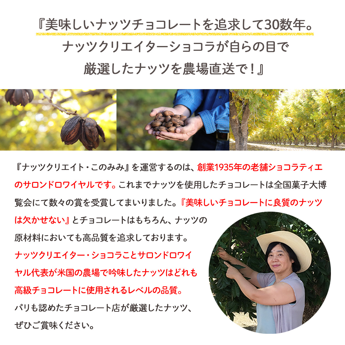 ピーカンからから 600g 200g×3袋 賞味期限2027年2月1日 醤油 小分け 贈り物 クルミ ピーカンナッツ 送料無料 おかき おつまみ ギフト 関連画像4