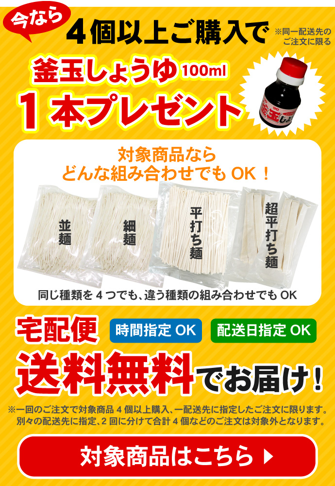 訳あり 本場讃岐うどん 1000g 半生 讃岐うどん 1kg 約10人前 うどん