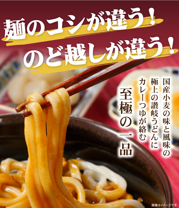 さぬきカレーうどん 5人前 セット 讃岐うどん レトルト カレーうどんの素 讃岐カレーうどん｜konpiraya｜09