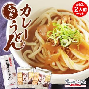 さぬきカレーうどん 2人前 お試し セット 讃岐うどん レトルト カレーうどんの素 讃岐カレーうどん ポスト投函便での配送 爆買