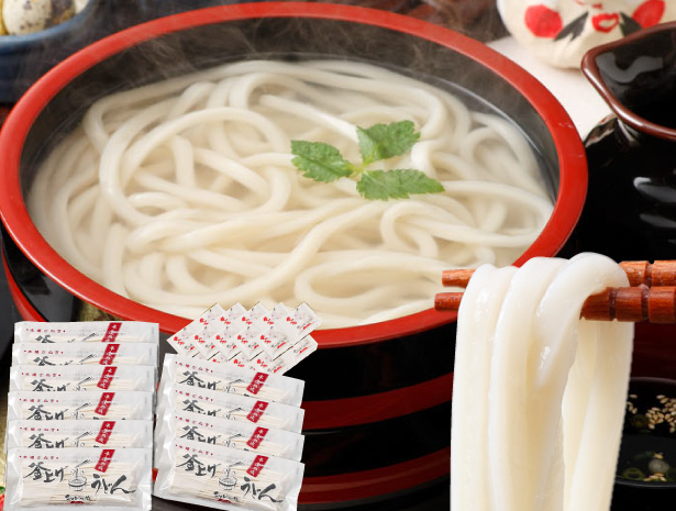 本場讃岐うどん 包丁極太切りうどん 20人前 つゆ付き セット 極太麺 半生 うどん 讃岐うどん