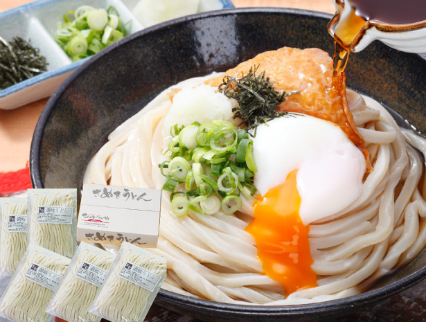 うちたて純生さぬきうどん 10人前 つゆ無し 本場 讃岐うどん 生麺 生うどん
