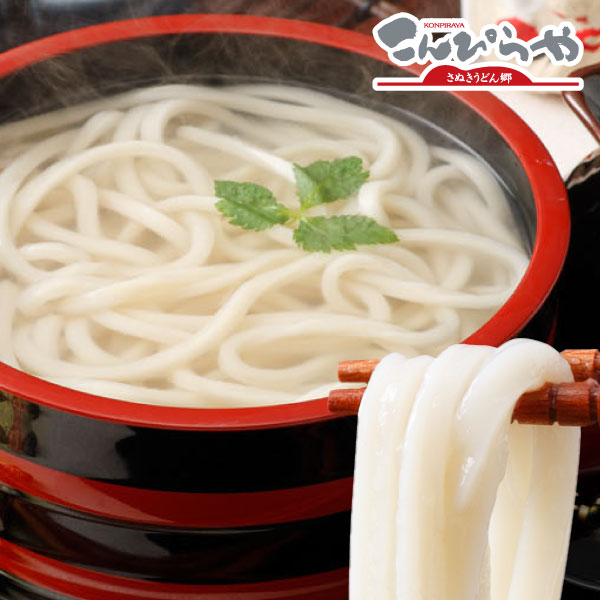 Yahoo! Yahoo!ショッピング(ヤフー ショッピング)訳あり 半生 極太 讃岐うどん 1000g 極太麺 1kg 約10人前 うどん 食品 グルメ ポスト投函便での配送
