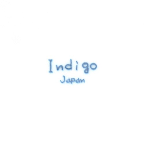 美濃焼 日本製 indigo japan 藍丸紋 軽量パスタ＆カレー5枚セット