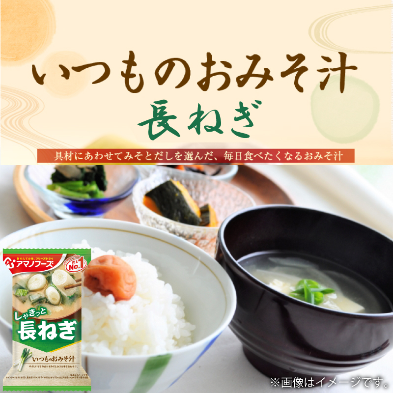 アマノフーズ いつものおみそ汁 長ねぎ 10食 ネコポス便 全国送料込 
