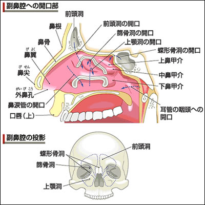 骨盤ベルト コシラック・スリープ（旧名称：コシラック・スポーツ