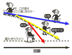 骨盤ベルト コシラック・スリープ（旧名称：コシラック・スポーツ