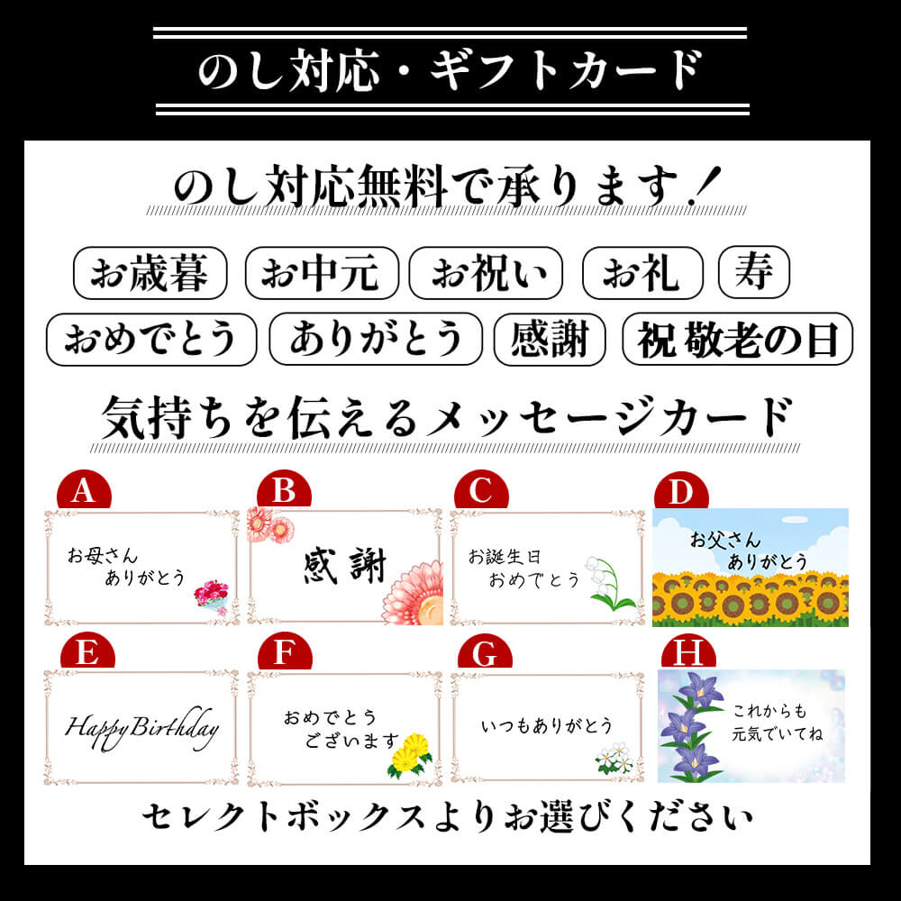 トロ鰹たたきハーフカット６個