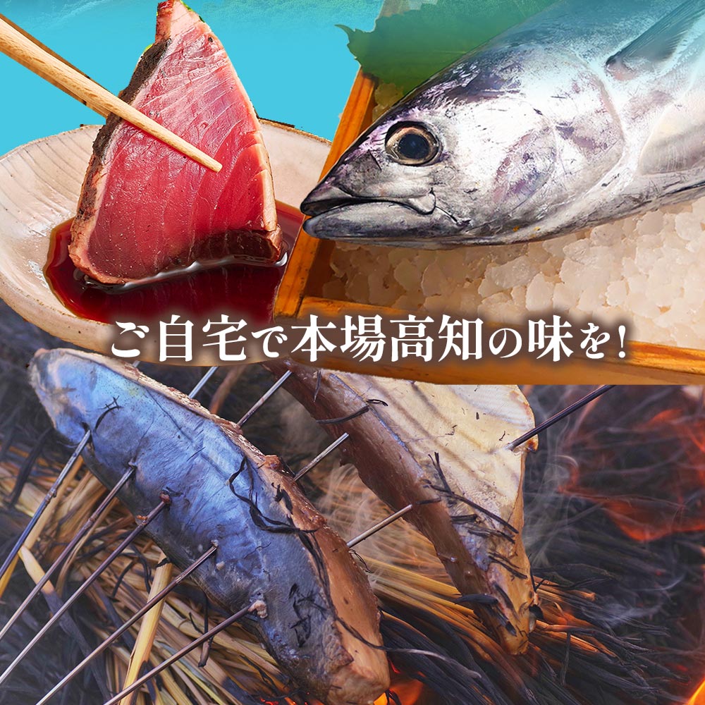 トロ鰹たたきハーフカット６個