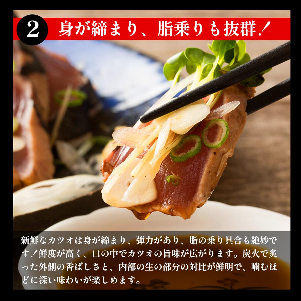 トロ鰹たたきハーフカット６個