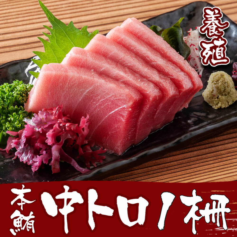 養殖 マグロ 本鮪 中トロ 1柵（約300g） 食べ物 刺身 冷凍 お