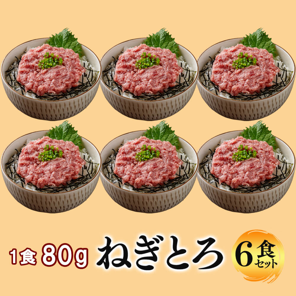 ねぎちょろ モリワキ 01810-L8254-00 (KAWASAKI Ninja ZX-25R '21-) Full