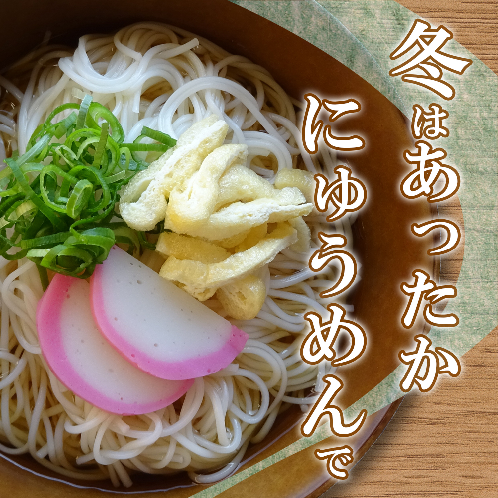送料無料 島原手延べそうめん 500g（50g 10束） 長崎県 植木製