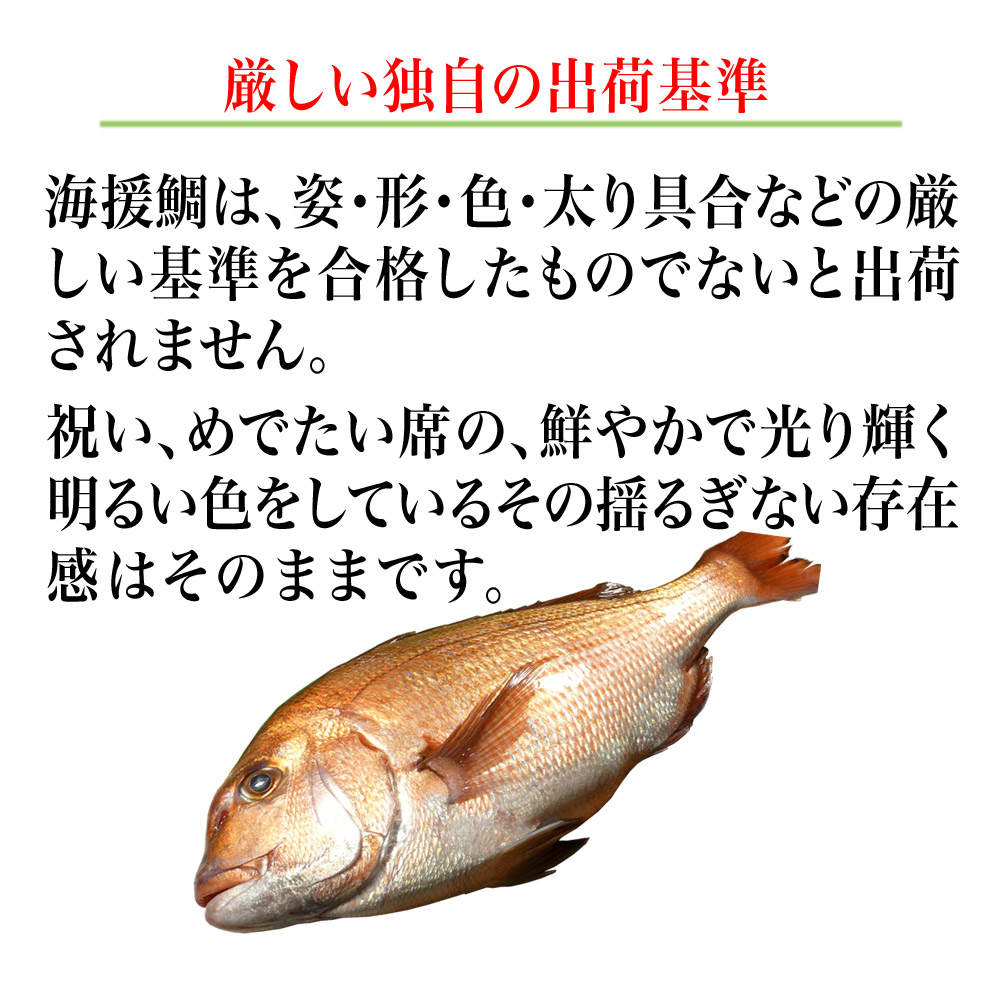 鯛めし