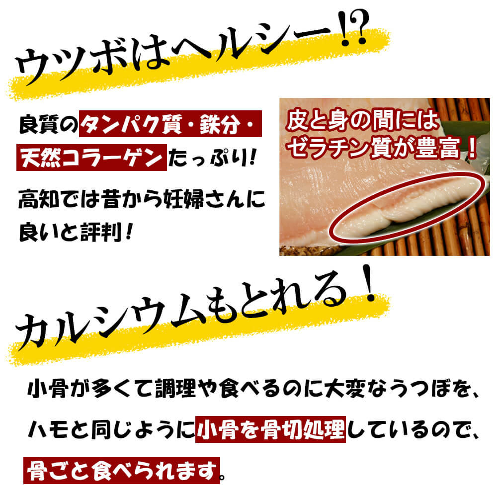 骨切うつぼ
