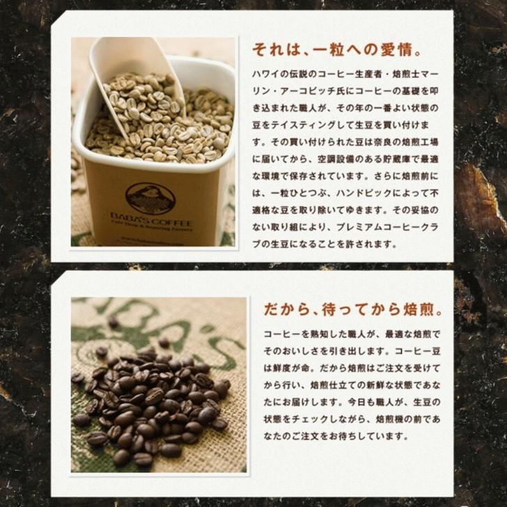 大容量 大満足 ブルーマウンテンブレンド 焙煎仕立て コーヒー豆 プレミアムコーヒー豆ブルーマウンテンブレンド1kg（200g×5袋