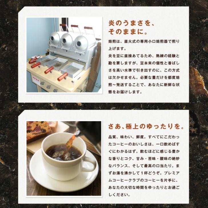 珈琲豆 ブルーマウンテン ブレンド 80g 焙煎工場直送 焼きたて