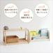 成長に合わせて使える 絵本ラック 本棚 絵本 ラック 収納ラック Kids Picture Book Rack -aluma- ILR-3684 関連画像3