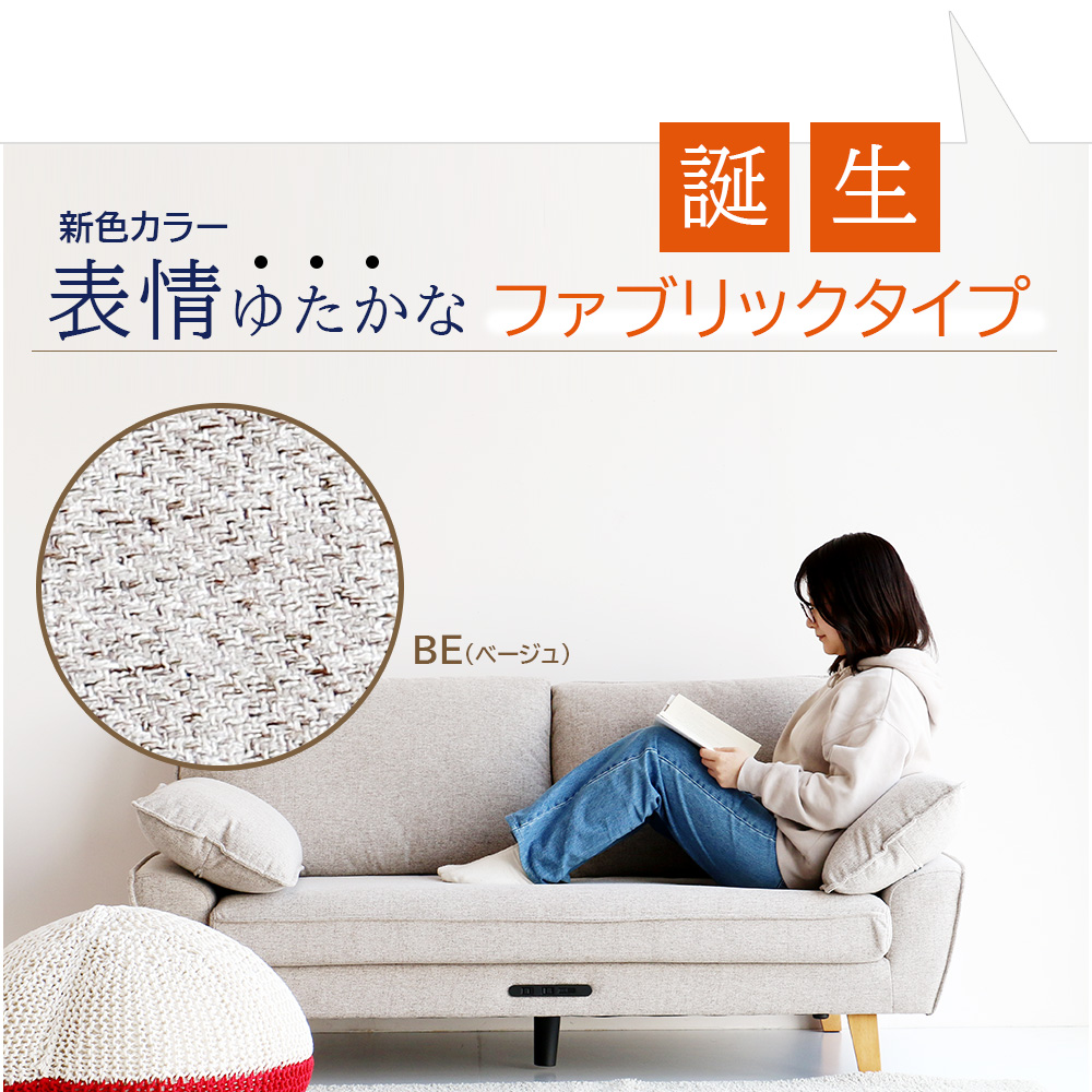 ICHIBA（市場） ソファ ソファー ローソファ 2.5人掛け 2人掛け 2人用