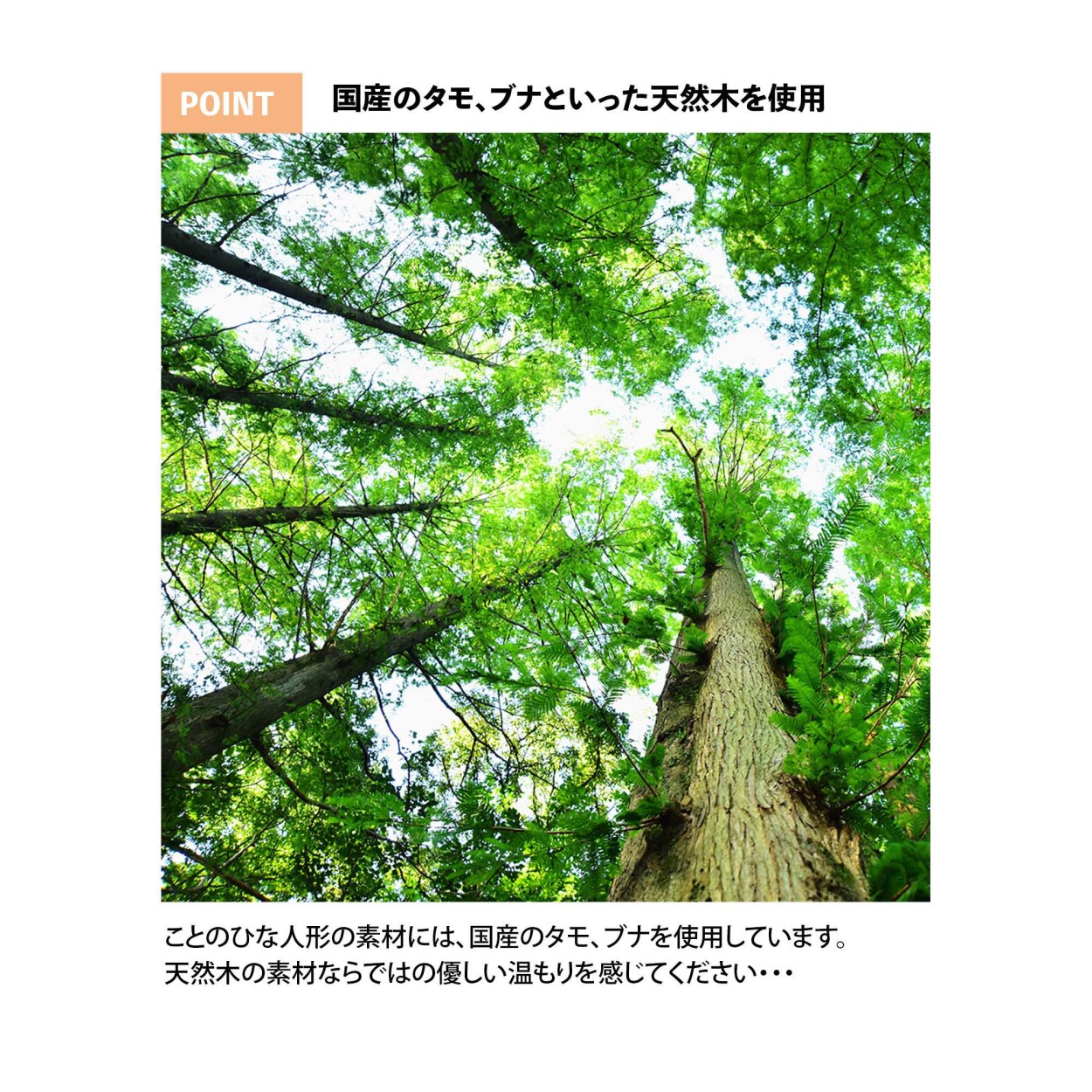 海外 ことのひな人形 3042 だいち 収納ケース コンパクトな雛人形 ひな祭り 雛人形 ひな人形 コンパクト おしゃれ インテリア お雛様 Dprd Jatimprov Go Id