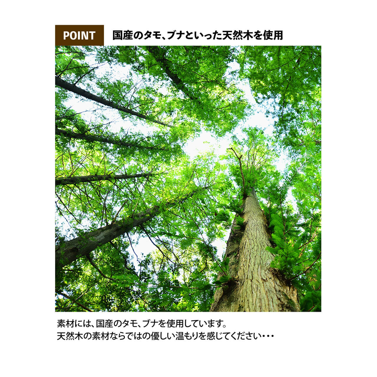 兜